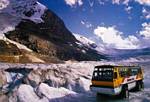 Athabasca Glacier