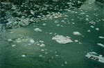 Ice Formation in Glacier Bay 2