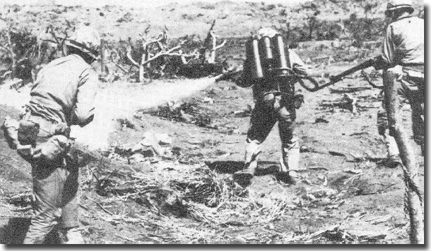 Flame throwers at work on Iwo Jima