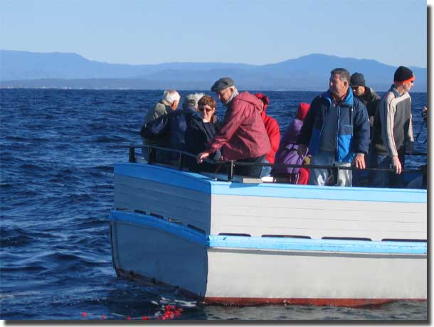 The relatives cast 36 poppies into the Pacific Ocean. one fo each sailor who died.