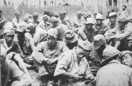 Japanese prisoners on Guadalcanal
