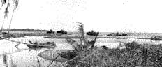 Five destroyed Japanese tanks on the beach at Guadalcanal