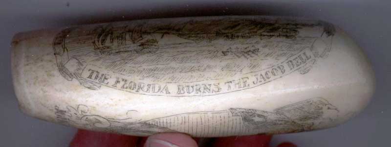 Florida burns the Jacob Bell whale tooth scrimshaw carving click for bigger picture