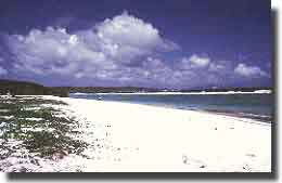 Invasion Beach at Tinian, where the US forces landed to capture this island from the Japanese