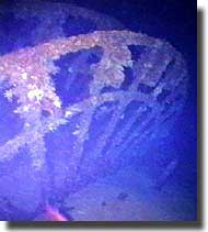 Paddle wheel of SS Republic, 500 metres down, off Savannah.