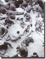 His Majesty's Auxiliary Troopship Shropshire - click to read the article