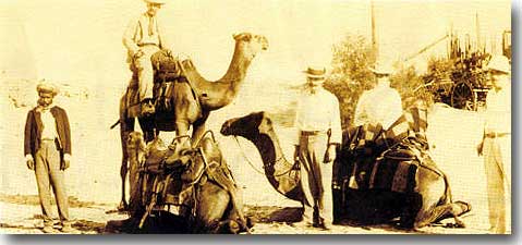 Herbert Hoover on the camel, ready to lead a prospecting party in Western Australia, 1898.