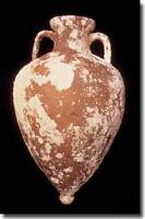 Amphoras recovered from the Tektas wreck - click to read the article 