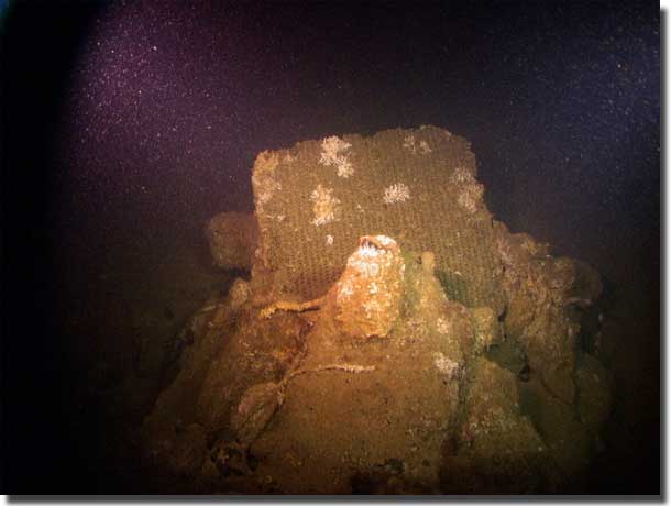 Photo of radiator from a vehicle in the sunken William Dawes.