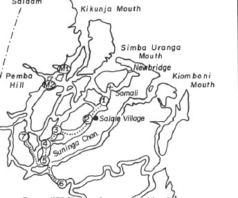 Konigberg's movements in the Rifiji River Delta