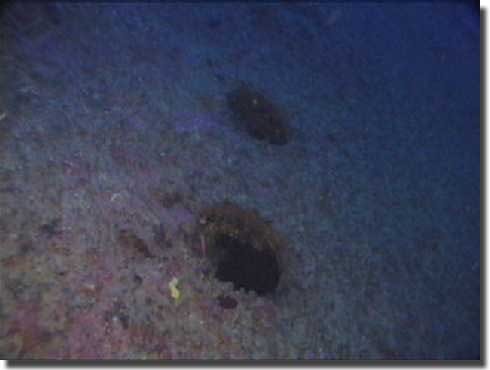 HMHS Britannic, open portholes in her hull, which hastened her sinking after striking a mine.