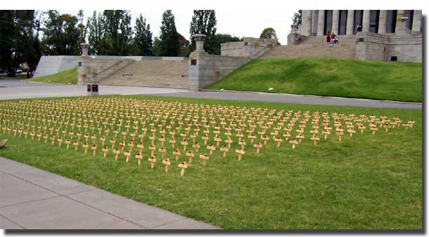 The 645 crosses in the Shrine lawn