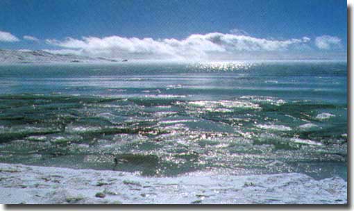 Eling lake in winter, shimmering with ice