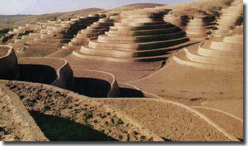 Terraces built over the Loess plateau