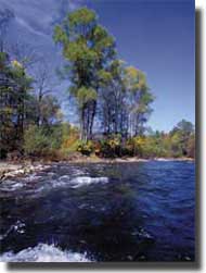 A picturesque view of the Amur river