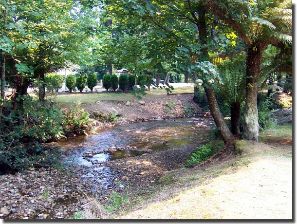 The winding creek in the park at Marysville