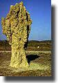 Termite mound or Magnetic Ant Hills Kakadu National Park