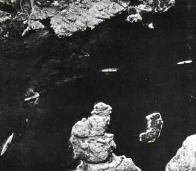 The Bismarck [ lower left ] photographed by a British Spitfire in Norway's Grimstad fjord, May 1941