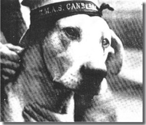 Able Seaman Nuisance